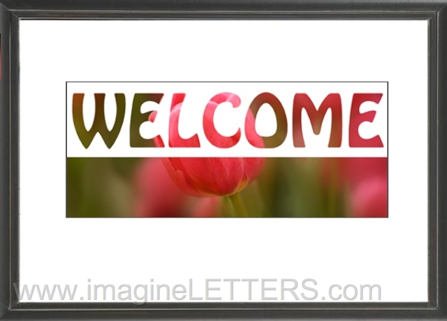 Wall_Art_Alphabet_Photography_Art_ 2420.jpg